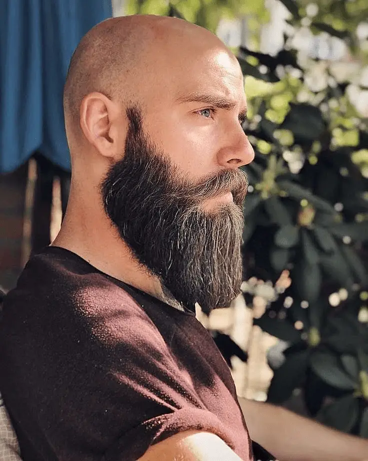 Bald head with Beard