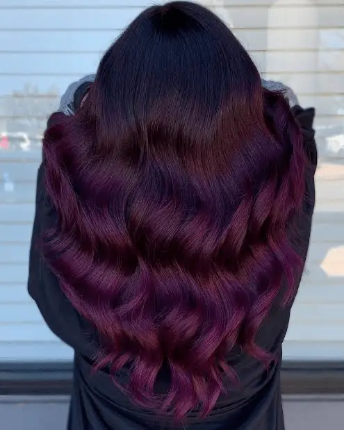 Plum Dark Purple Hair