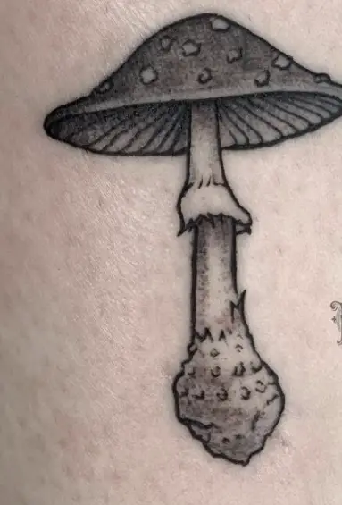 Focal Point Mushroom Tattoo