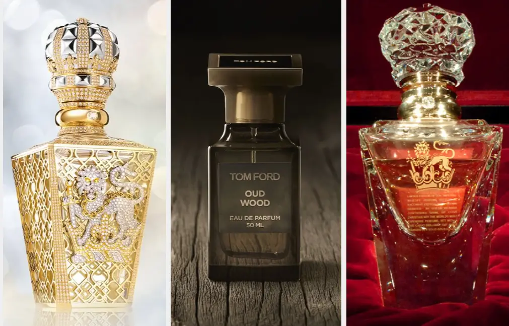 The Ultimate Guide On Perfume