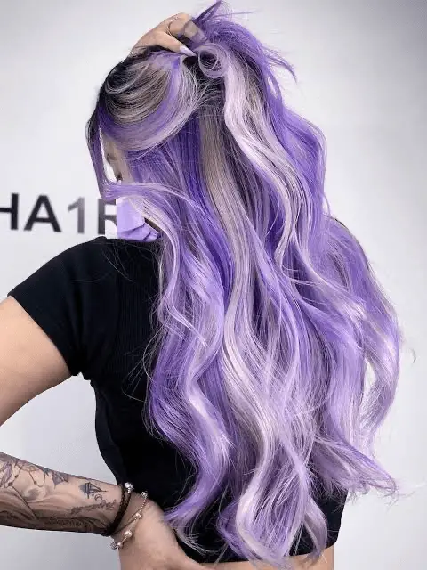Dark Purple Hair Silver Highlights